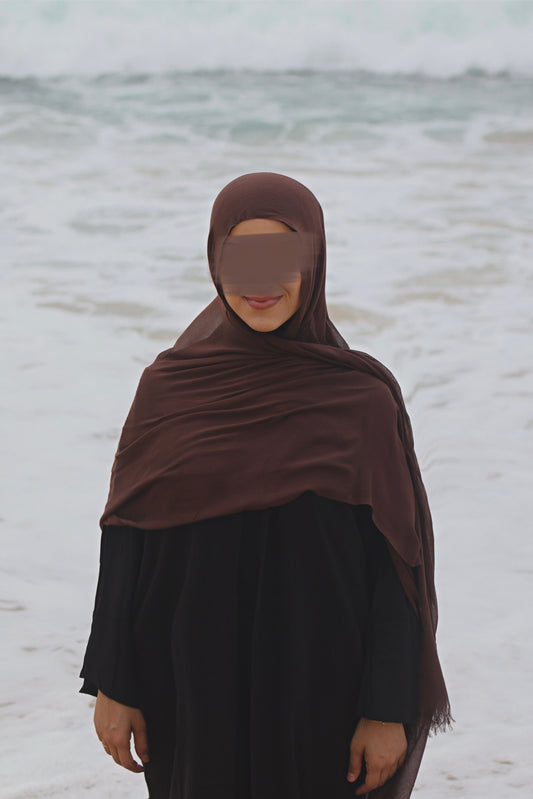 شيلة عقيق الشتاء